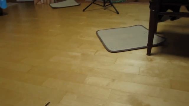 Кошка Тина и насекомое 2 смотреть онлайн