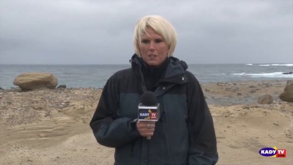 Seabird Restoration Project at San Nicolas Island