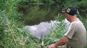 Ловля сазана, поиск места ловли на реке.