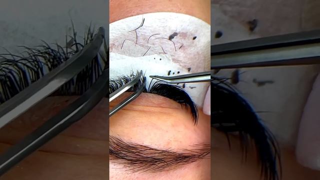 @lash.and_more подписывайся создание авторских эффектов в наращивании ресниц 2д 3д классика смотреть онлайн