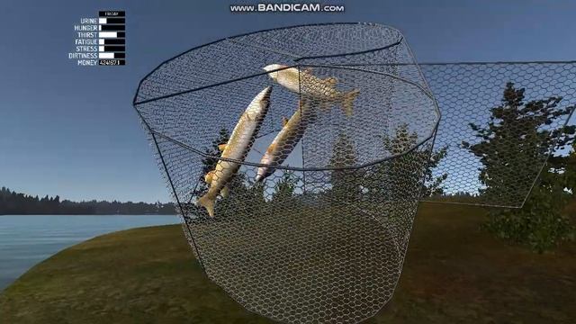 My summer car поймал рыбу !!!!! смотреть онлайн