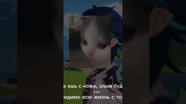 Обрезали надписи..«Не ешь с ножа, злым будешь» «А ты видимо всю жизнь с топора ел» #genshinimpact смотреть онлайн