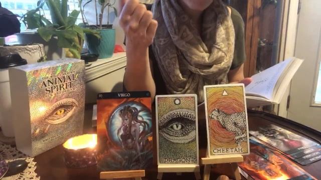 Check the Energy ? #Oracle Card Reading for Each #zodiac Sign смотреть онлайн