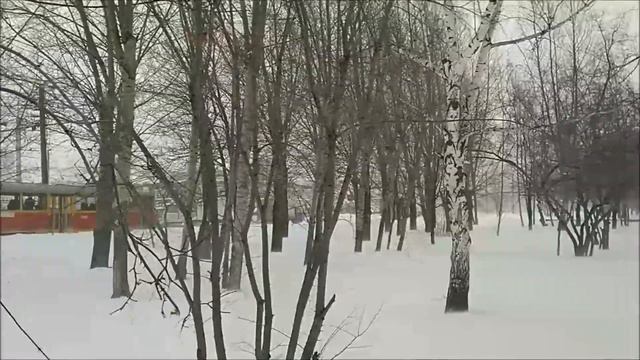 "Радостная" прогулка по Барнаулу 25 декабря смотреть онлайн