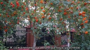 Совместимость плодовых деревьев и кустарников