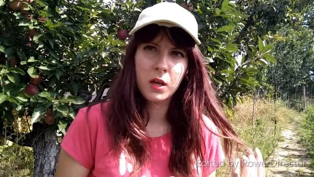 очки и линзы плюсы и минусы смотреть онлайн