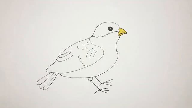 Как нарисовать воробья - How to draw a sparrow смотреть онлайн