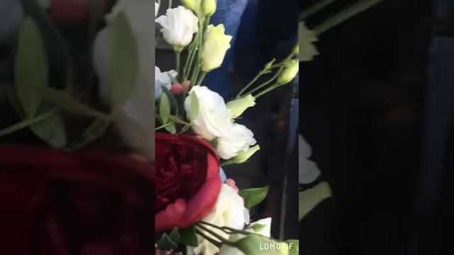 Свадебные платья Newway63.ru смотреть онлайн