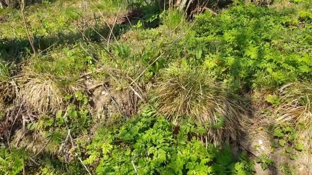 Недвижимость в Крыму_Бельбекская долина_Продажа ИЖС_Соколиное смотреть онлайн