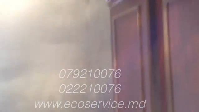 Плесень?Eco Service смотреть онлайн