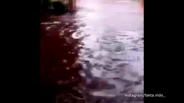 Village submerged by red water after flood hits batik factory, Pekalongan, Indonesia смотреть онлайн