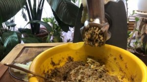 Корм для цихлид(ФАРШ) своими рукам