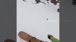 Собака катится с горы