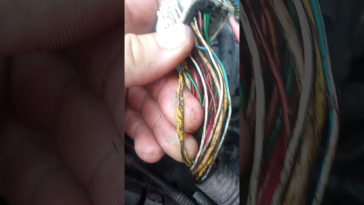 renault Clio не светятся задняя подсветка заднего хода 2. смотреть онлайн
