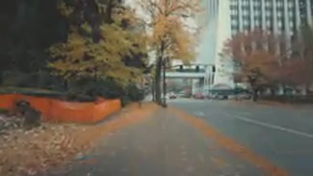 Portland Fall Trees And Leaves In Downtown - 2022