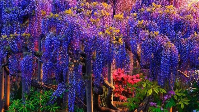 Чудо природы смотреть онлайн