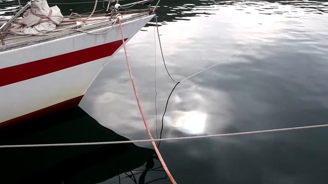 Имя на карте. Морской заповедник и Центр "Семь океанов"... смотреть онлайн