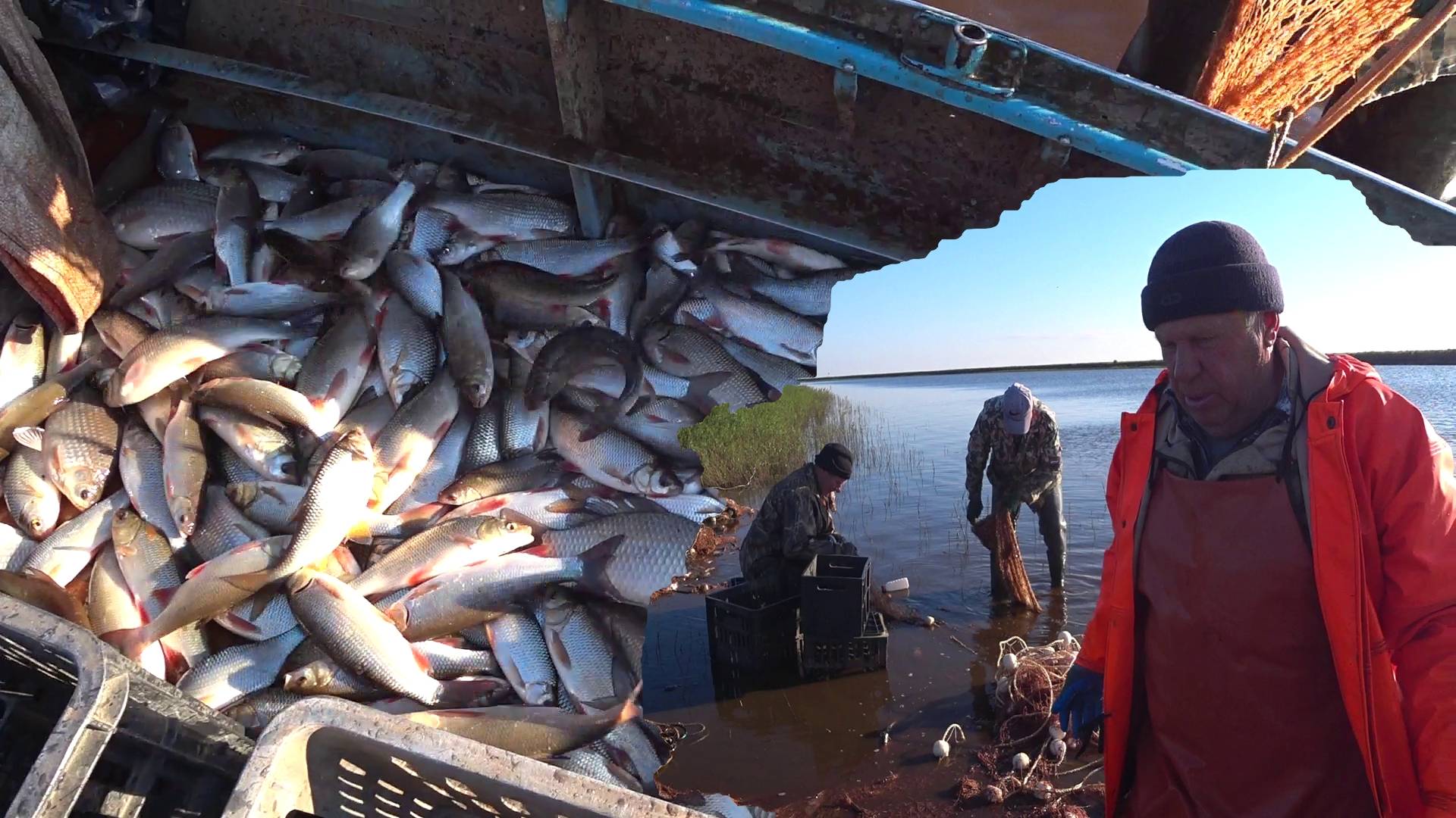 Ловля неводом 8 сентября 2024. ХМАО-Югра. смотреть онлайн
