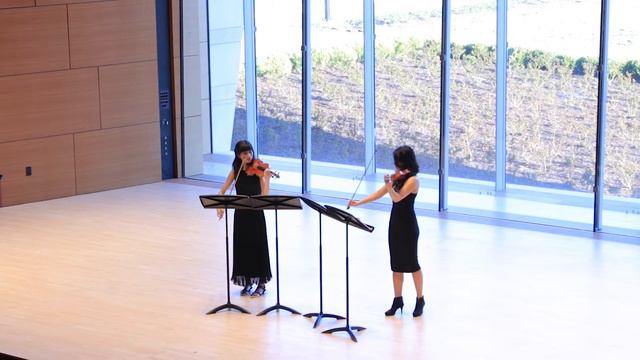 Luciano BERIO : Duetti per due violini (6, 14, 28, 34) смотреть онлайн