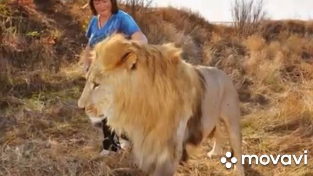 С днем рождения Татьяна Алексагина! смотреть онлайн