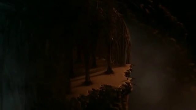 Звездный воин.