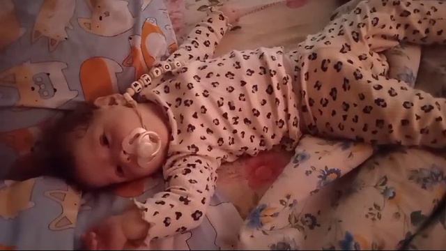 VID-20240429-WA0000.mp4