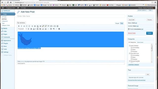 Using WordPress Widgets смотреть онлайн
