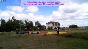 Квалификационные соревнования. Краснодарский край.  Аджилити / Agility. Спорт с собакой.