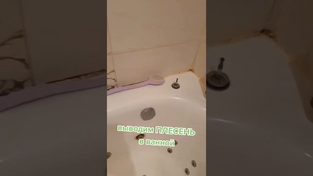 как отчистить плесень в ванной смотреть онлайн