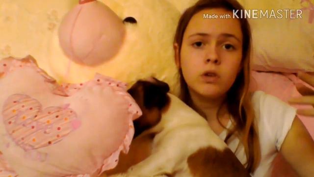 КАК ПРИУЧИТЬ ЩЕНКА ДЖЕК РАССЕЛ ТЕРЬЕРА К ПЕЛЁНКЕ?