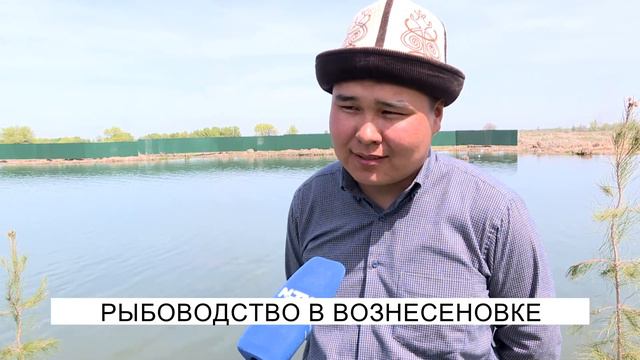 Рыбоводство в Вознесеновке..\NewTV смотреть онлайн