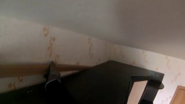 Челябинские спасатели поймали летучую мышь в одной из городских квартир