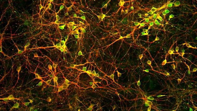 Мудрость и эзотерика