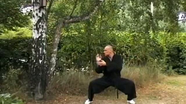 Ba Duan Jin - The Eight Pieces Of Brocade.mp4 смотреть онлайн