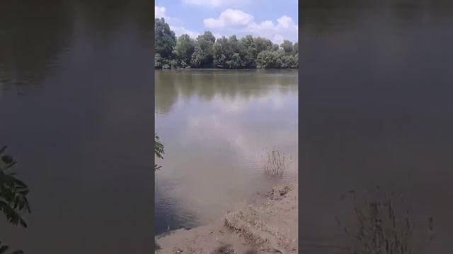 Мы на речке. смотреть онлайн