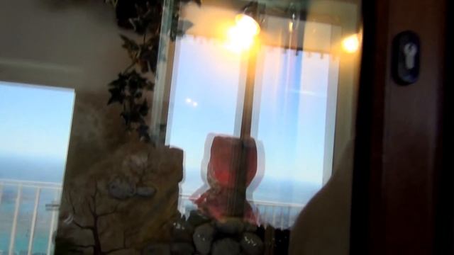 Сафари парк Геленджик -- The Safari Park Gelendzhik Отдых в Геленджике. смотреть онлайн