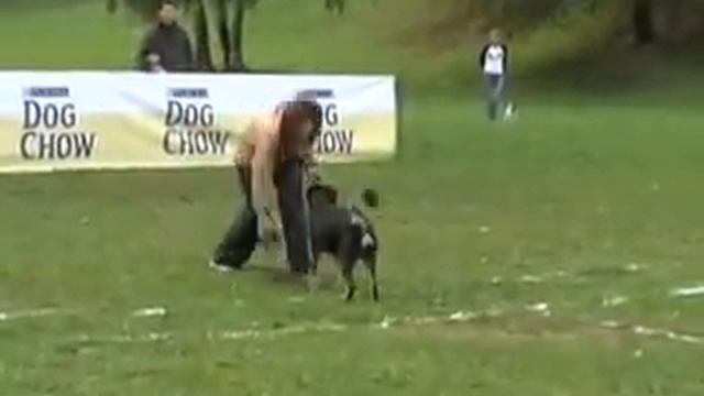 Якунина Анастасия и ксоло Квинтон смотреть онлайн