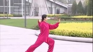 24  формы  тайцзицюань  стиля  Ян .