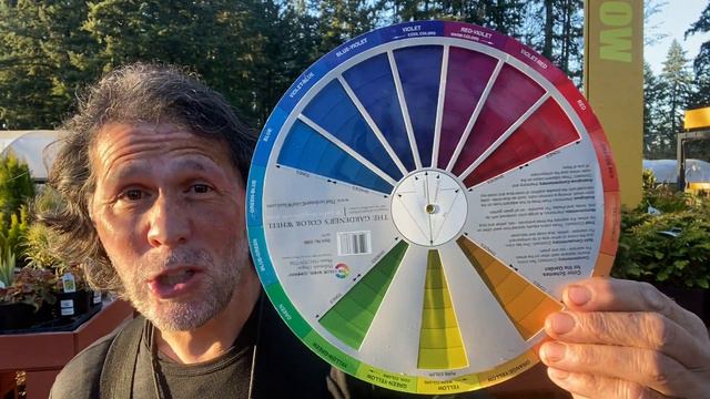 It's All About Color!