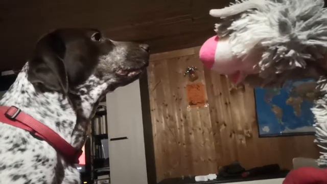 Я съем тебя изнутри. I eat you, from the inside смотреть онлайн