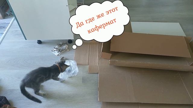 Как "правильно" собрать модульную кухню своими руками, ой, лапами ;) смотреть онлайн