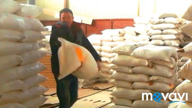 Белый танец смотреть онлайн