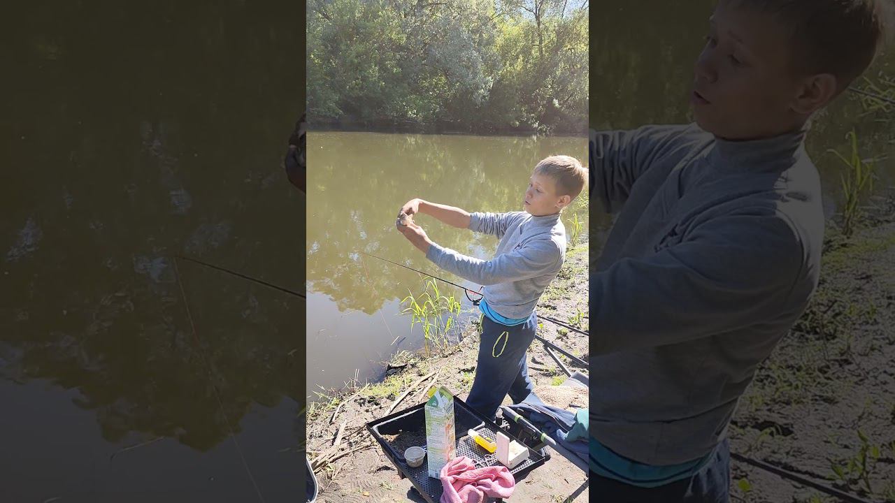 Отпускаем малышей. #рыбалка #fishing #viral #top #рыбаки #голавль #фидернаярыбалка #фидер #прикол смотреть онлайн