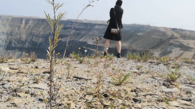 Белая ночь опустилась как облако смотреть онлайн