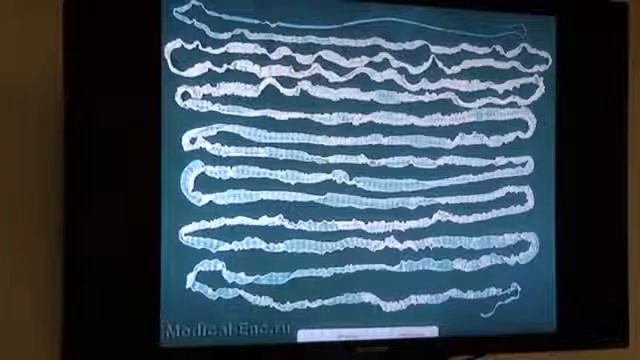 videoplayback смотреть онлайн