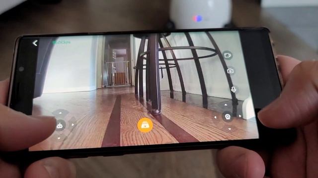 Dog becomes best friend with Robot | Rocki Robot смотреть онлайн