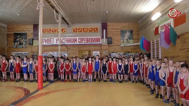 Соревнования по греко-римской борьбе смотреть онлайн