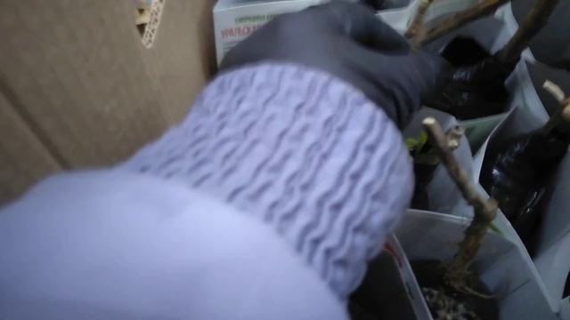 ? Светофор ? Обзор Новых товаров.Плёнка для парника Сетка Шпалерная.Набор инструментов. от 14.03.21 смотреть онлайн