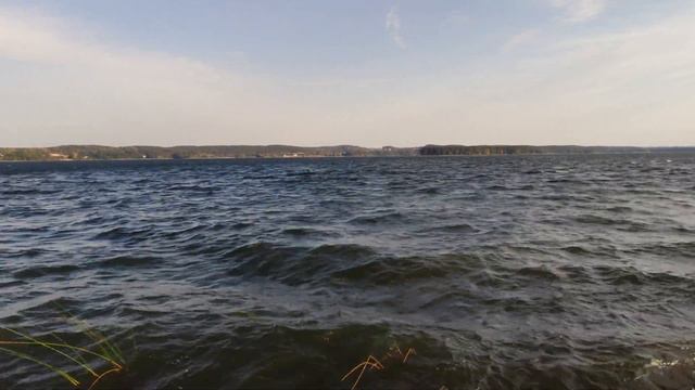 Vadim Bogac & Leonid Borovyj - Symbiosis (Original Mix)