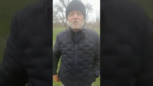 Иван Димитров: Примите бездефицитный бюджет, тем боле такое сложное время у нас сегодня смотреть онлайн